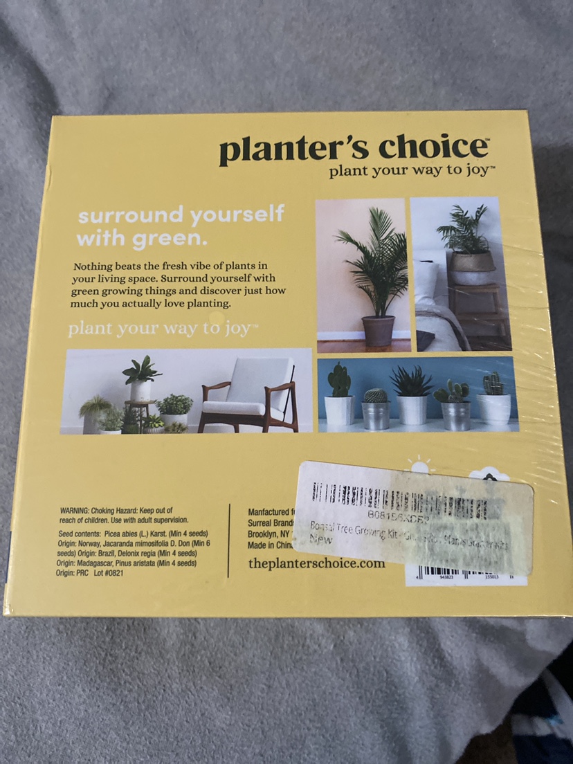 Bonsai Starter Kit - photo 2