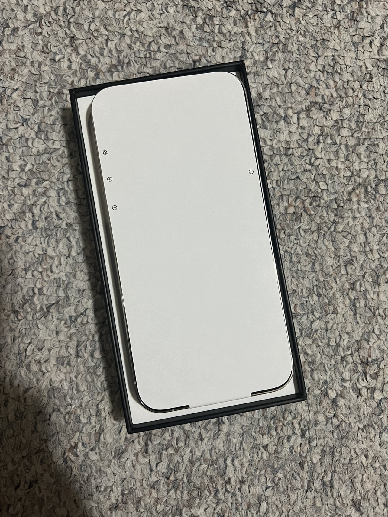 iPhone 12 Pro Max - photo 2