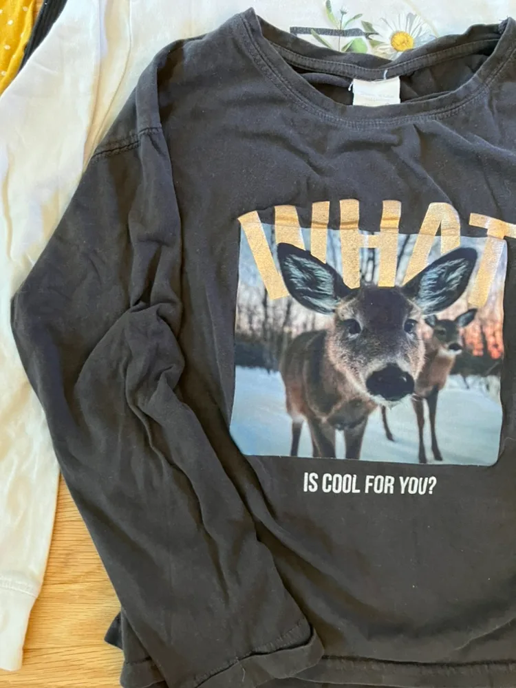 4 Bundle of Girls’ Long Sleeve Shirts - Size 8-10y image indicator(7)