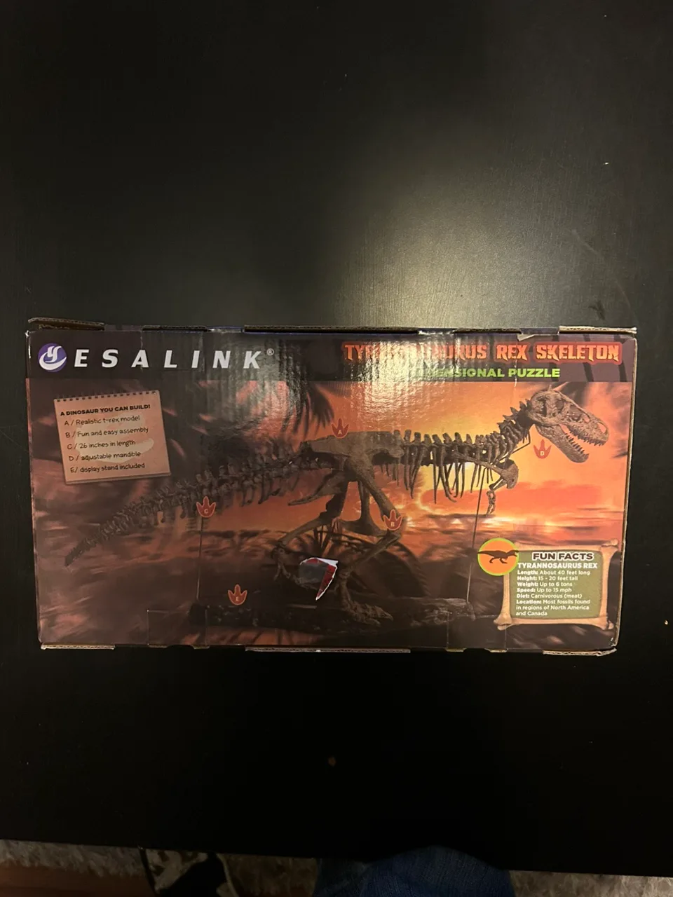 Tyrannosaurus Rex Skeleton Model image indicator(2)