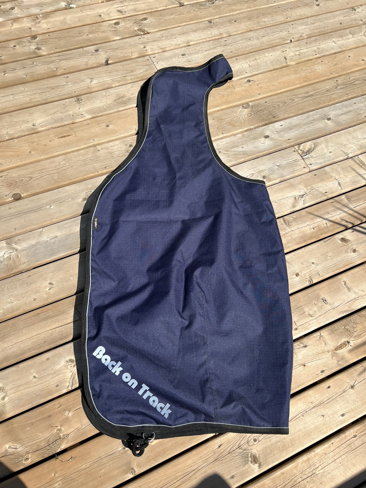 Back on Track Sammy Exercise Rug (81”)