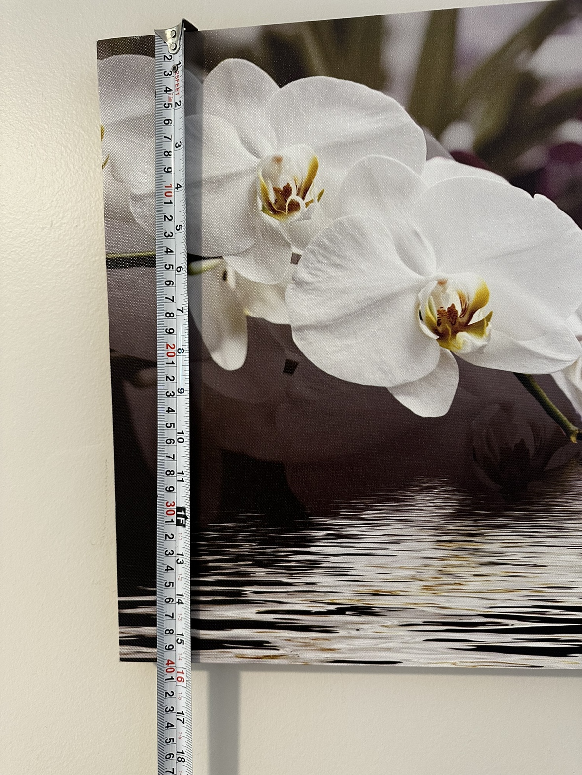 Orchid Canvas Wall Art - photo 2