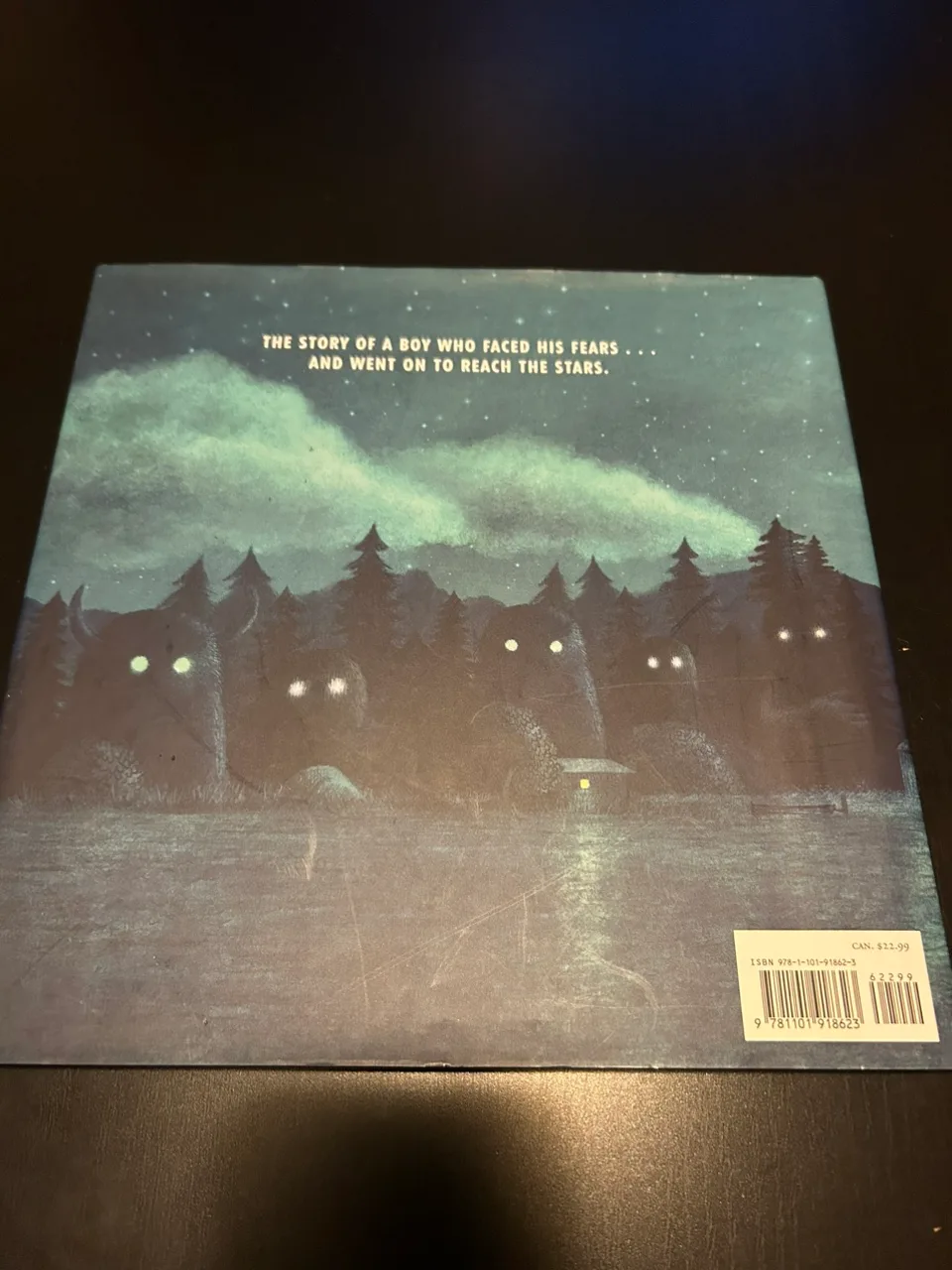 The Darkest Dark by Chris Hadfield image indicator(2)