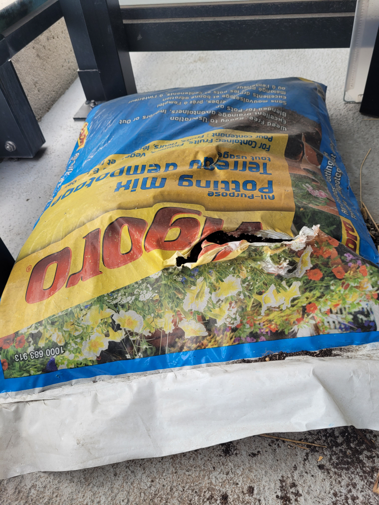potting mix soil