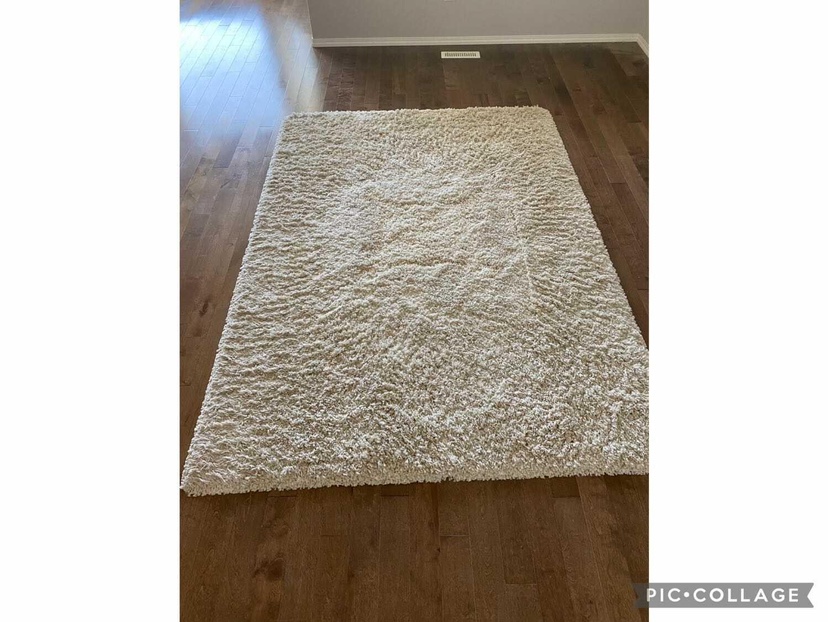 Cream Shag Rug