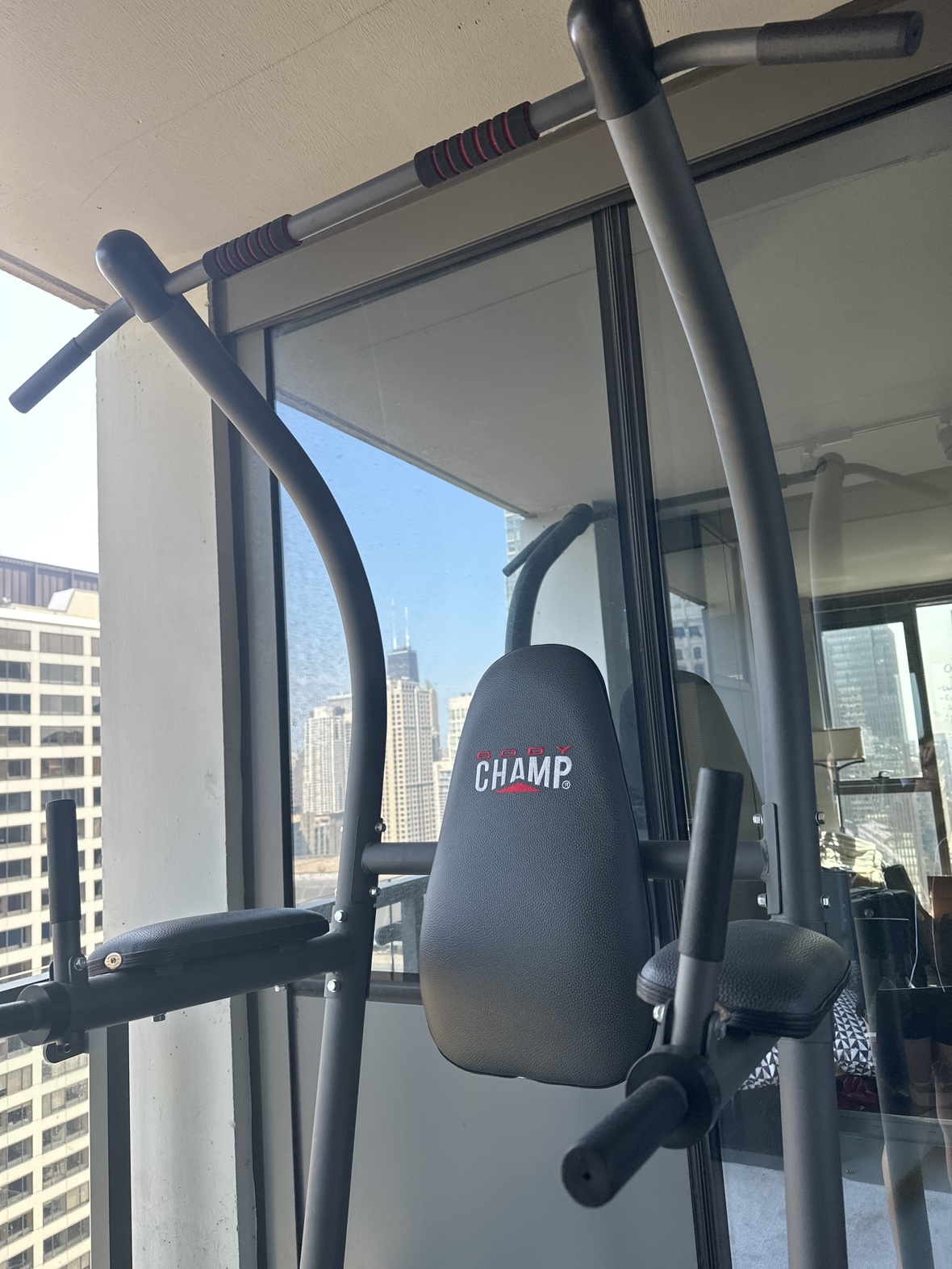 Champ Pull-Up and Dip Station