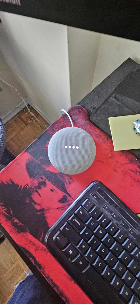 Google Home Mini