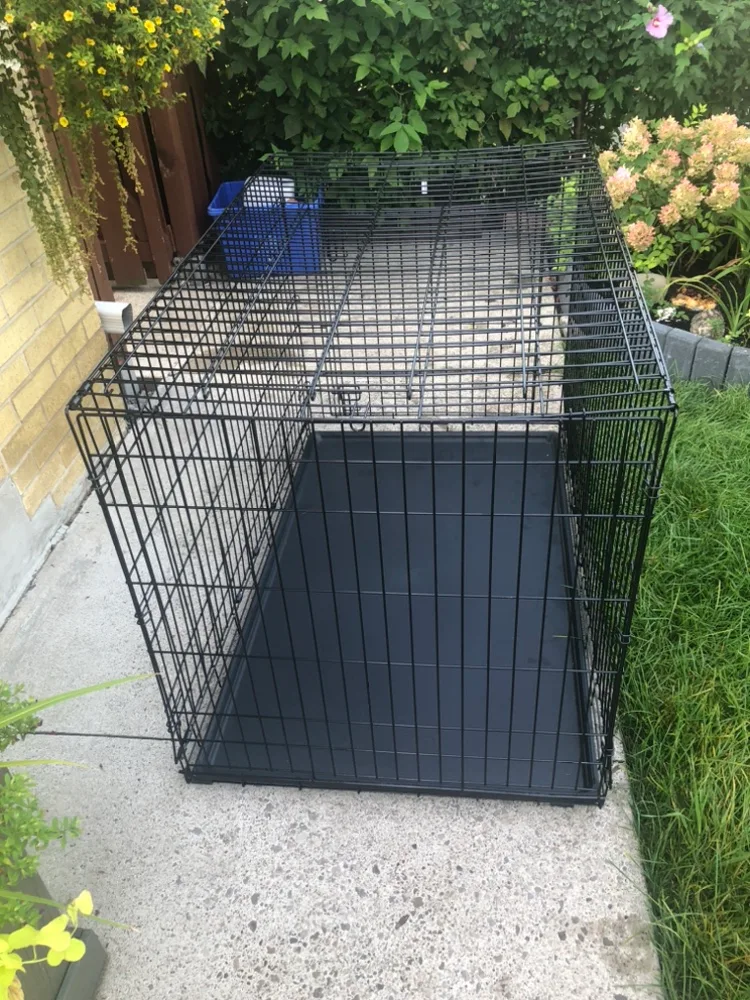 i Crate Dog Crate Large thumbnail