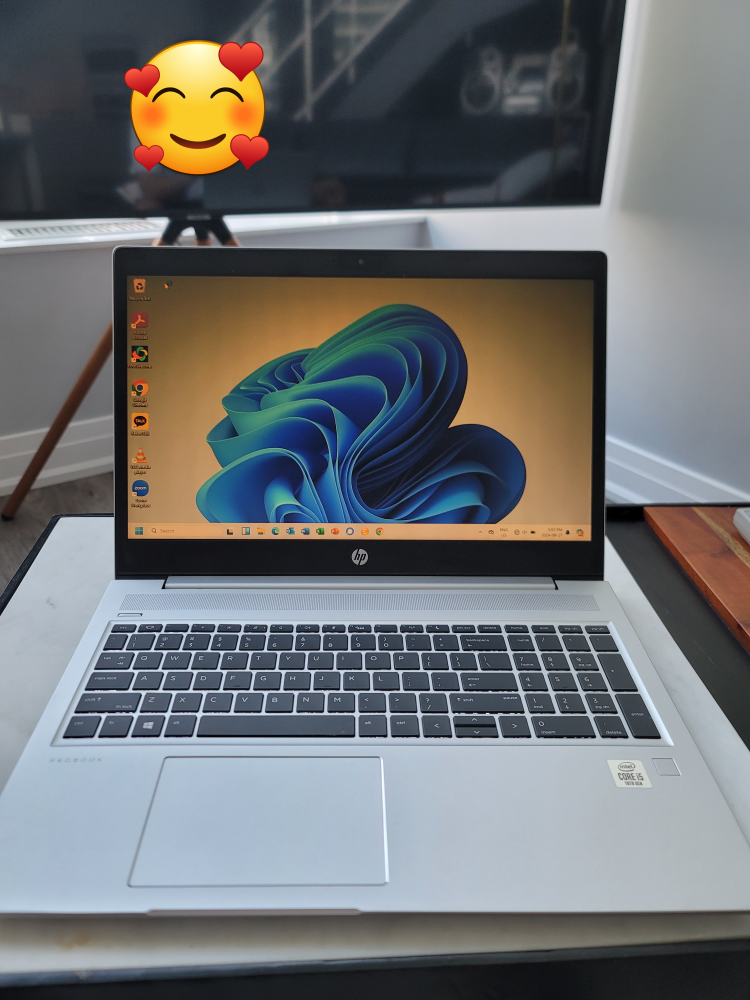 HP Probook 450 G7 Laptop i5-10210U 16gb ram 256gb Windows 11 pro