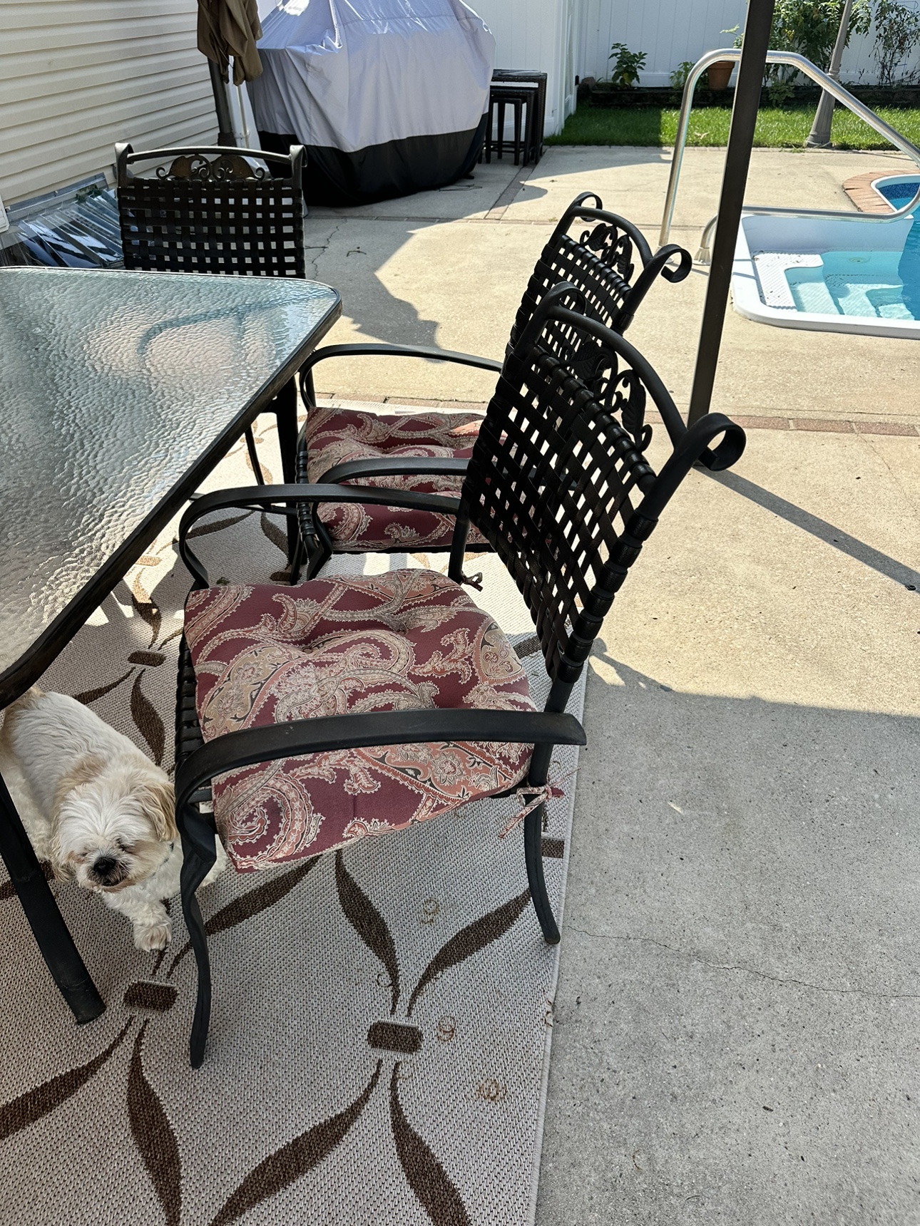 outdoor glass table 6 chairs and cushions - photo 2