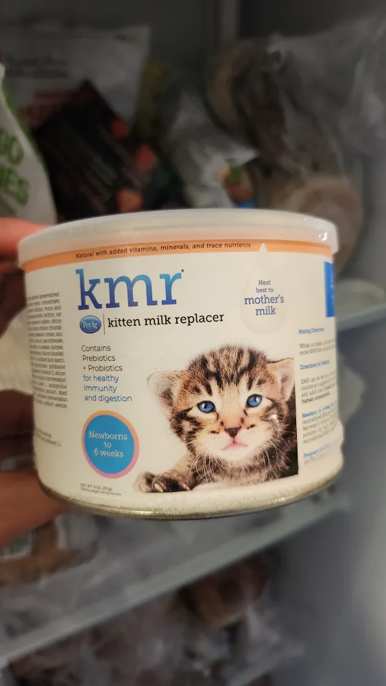 kitten formula #freecycle thumbnail