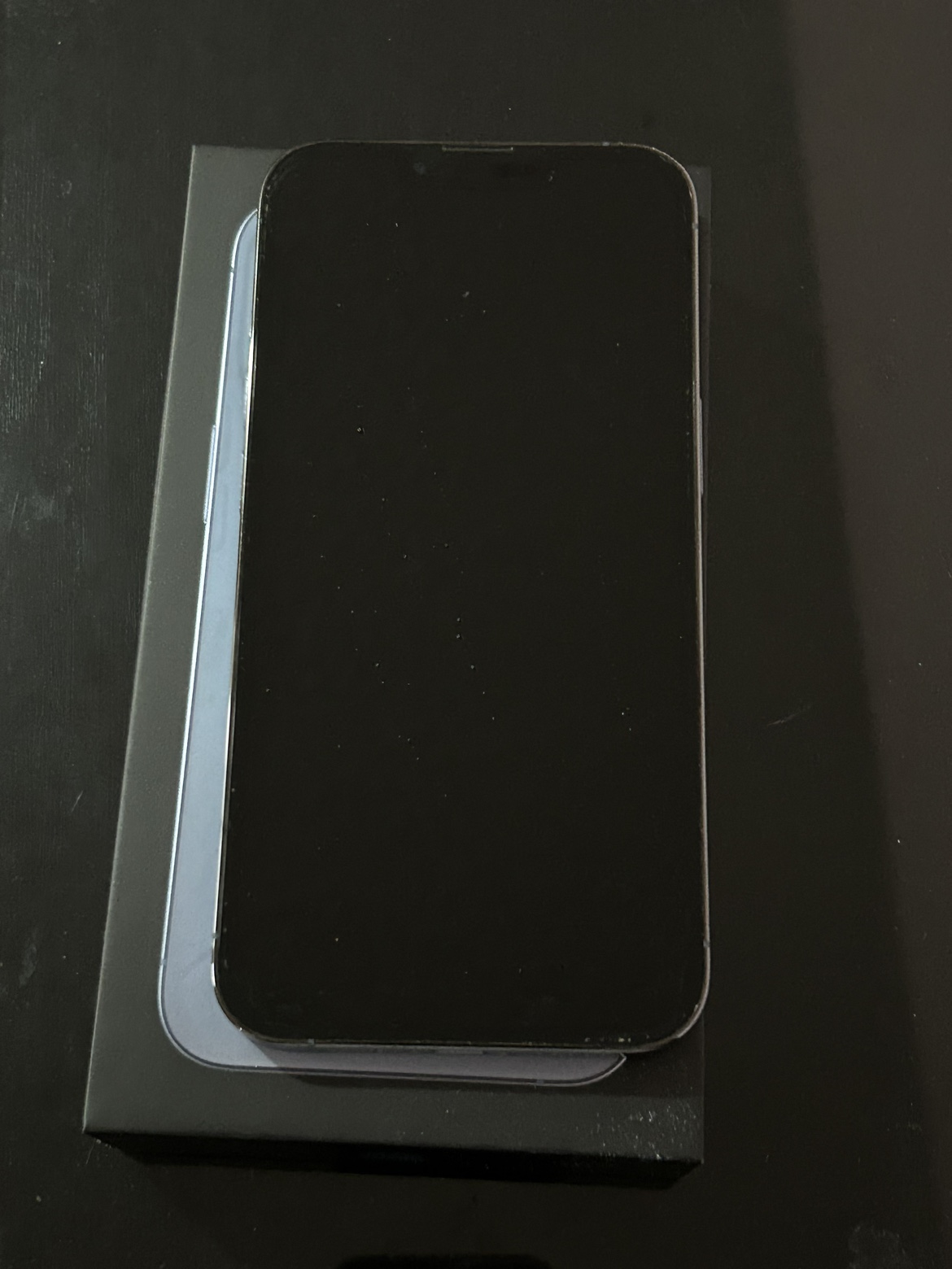iPhone 13 Pro Max - photo 2
