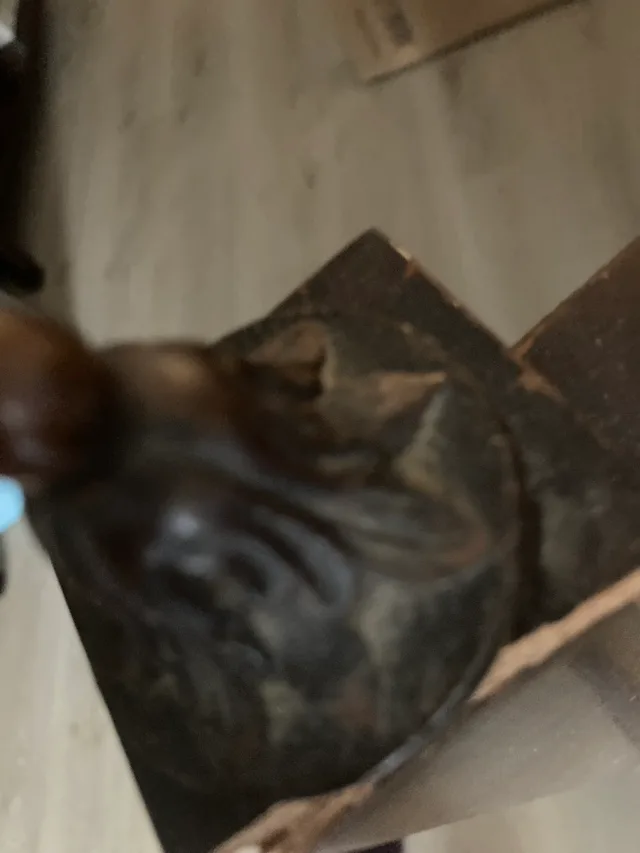 Antique Fireplace Screen image indicator(5)