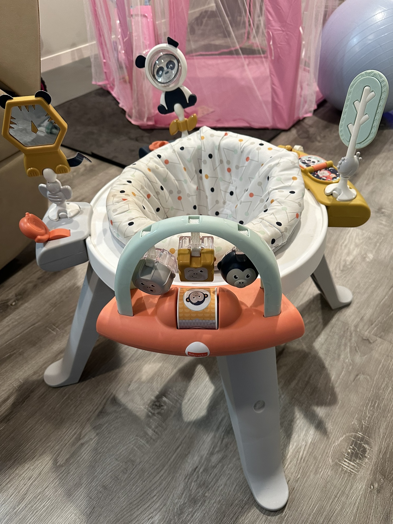 Baby exerciser
