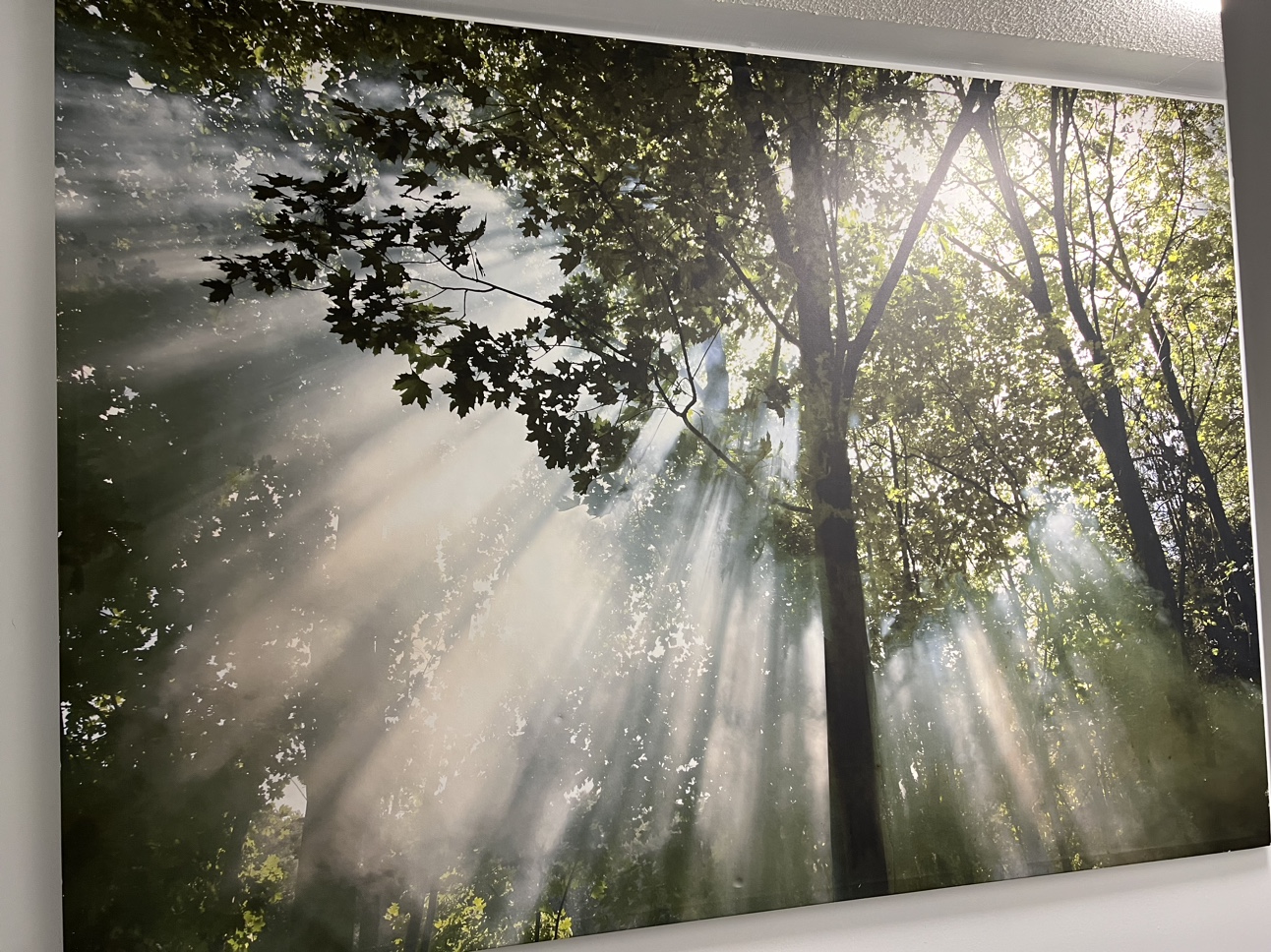Canvas Wall Art