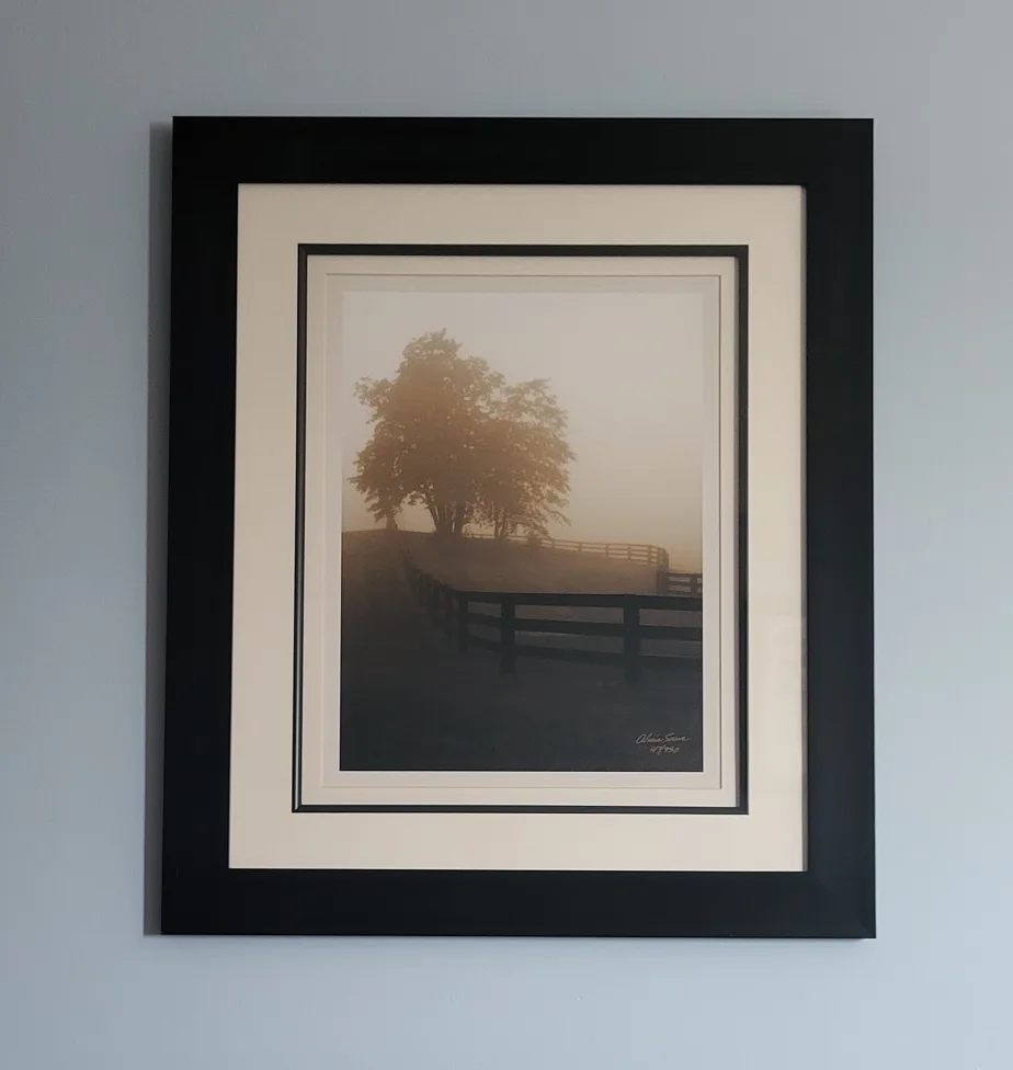 Alicia Soave Limited Edition Framed Print thumbnail