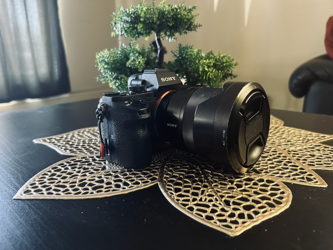 Sony mirrorless camera