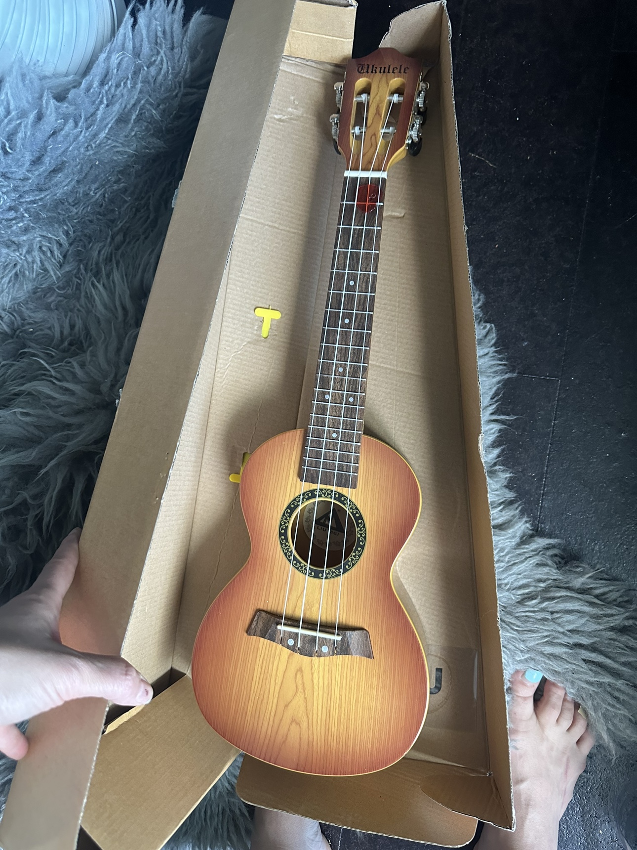 Ukulele