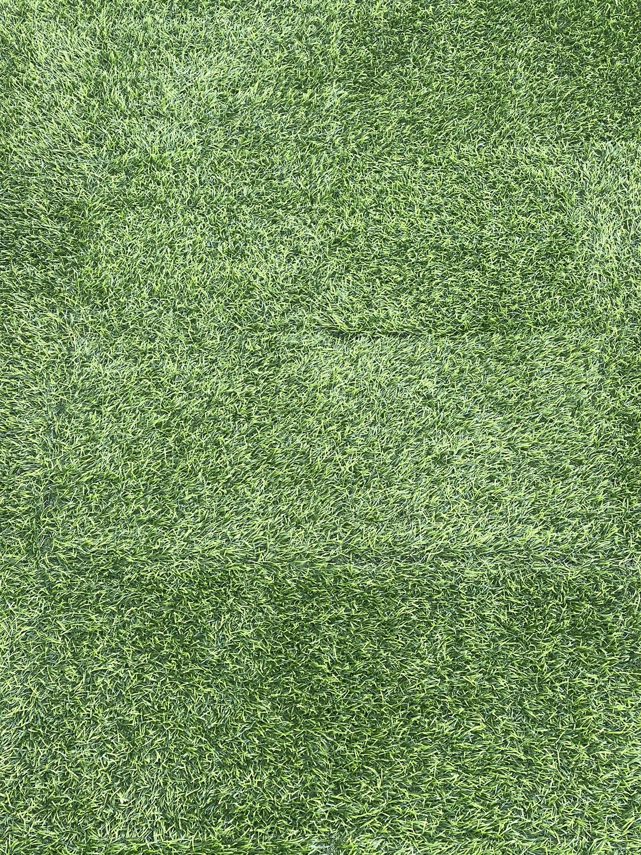 Artificial Grass Rug - photo 3