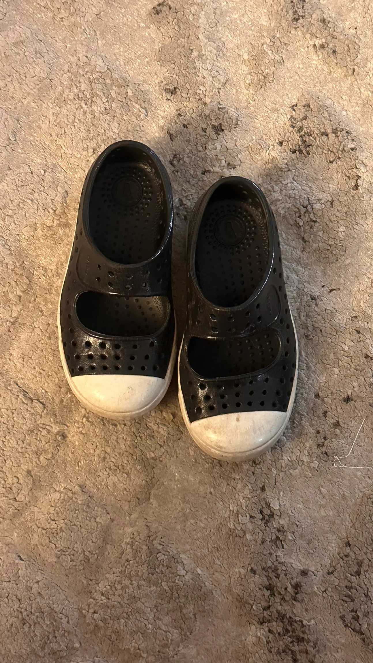 Native Shoes thumbnail