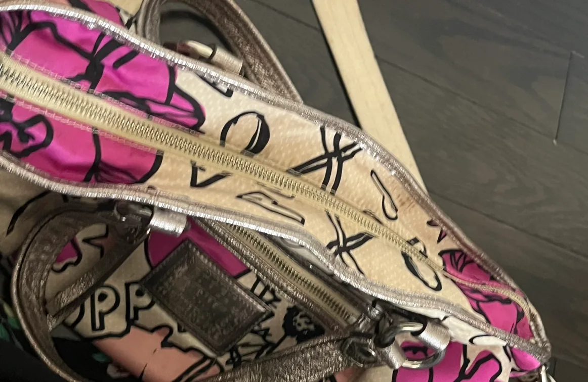 Coach poppy floral Y2K bag set image indicator(9)