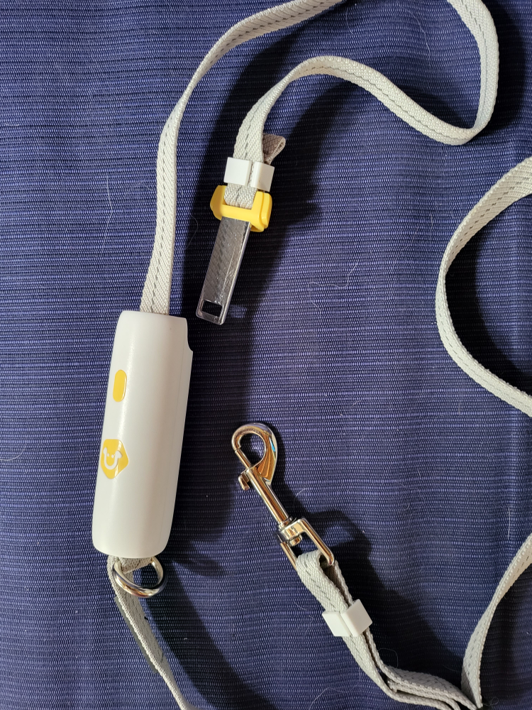 Liuta dog leash