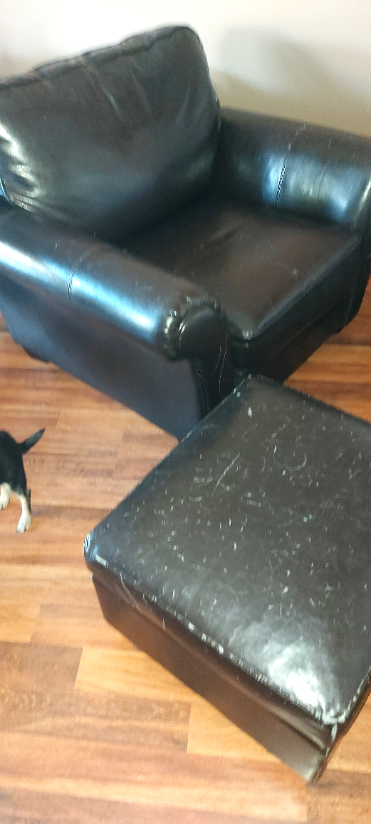 Brown Leather Armchair and Ottoman