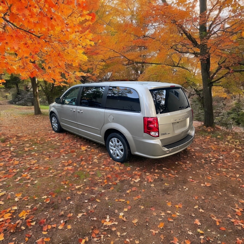 2014 Dodge Grand Caravan - photo 4