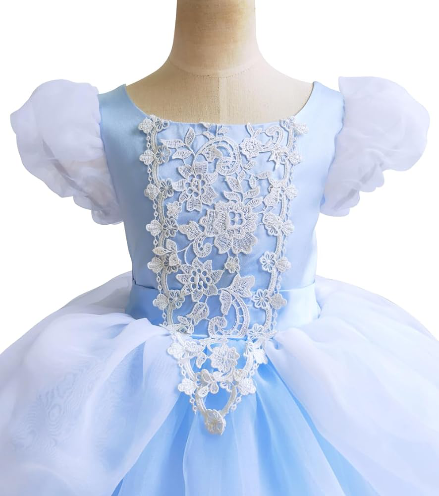 Cinderella Dress so beautiful when seen in person - photo 3