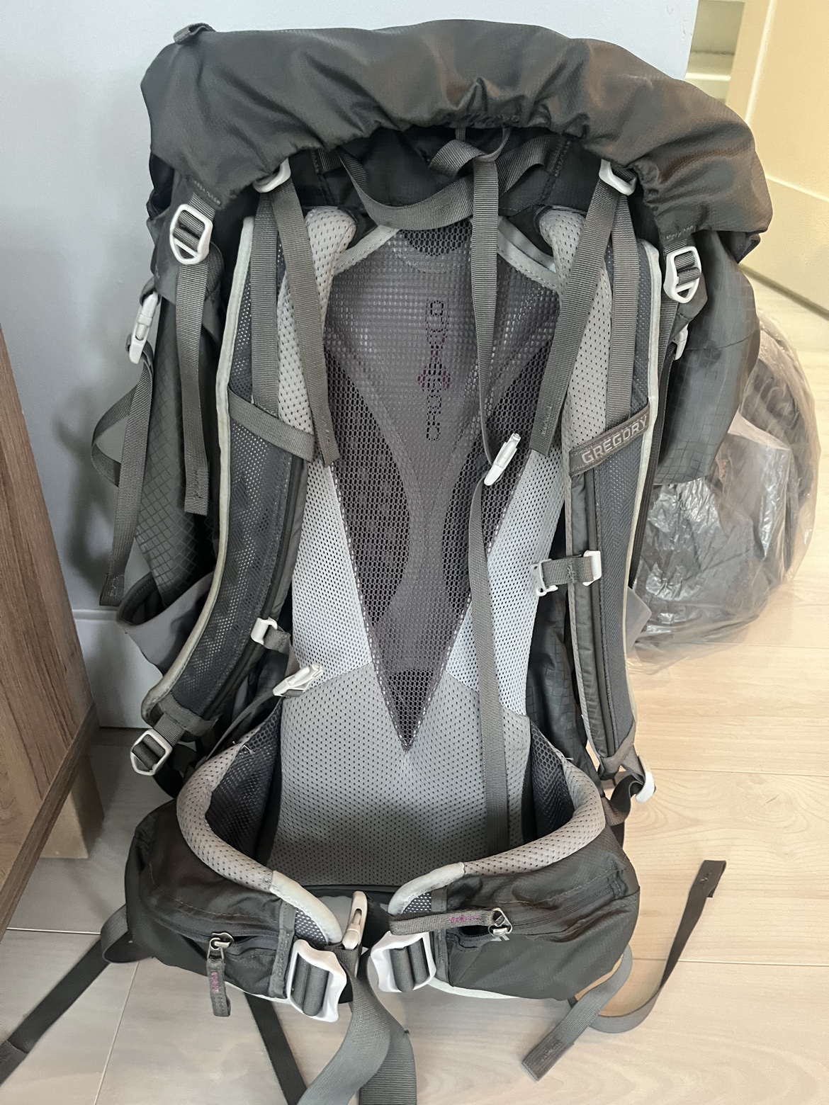 Gregory Baltoro 65L Backpack - photo 3