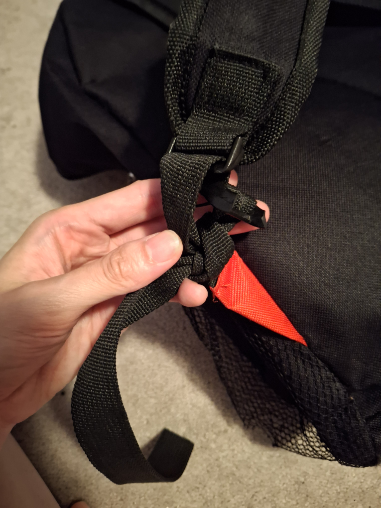 Free Shark Backpack - photo 5