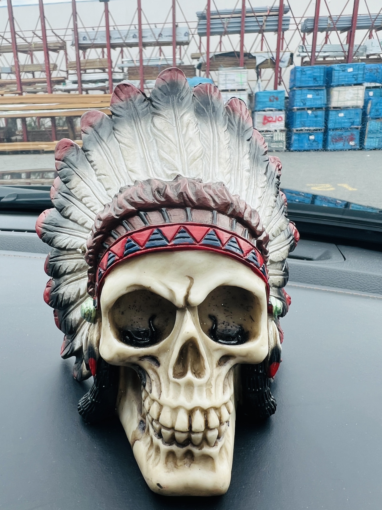 Skull with Indian Headdress