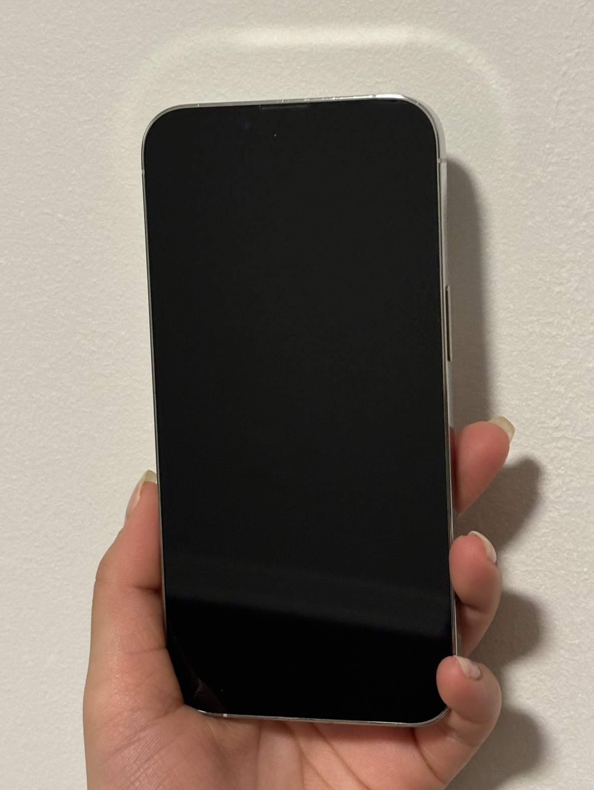iPhone 13 Pro/Silver/256GB - photo 3