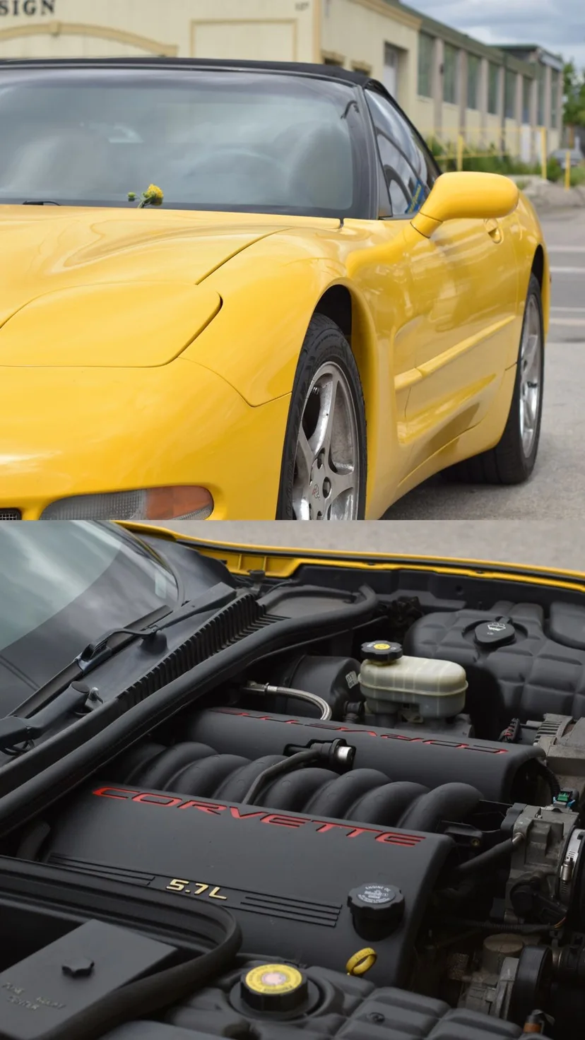 2002 Chevrolet Corvette Convertible image indicator(2)