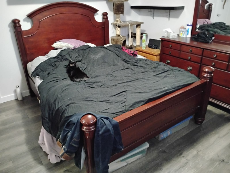 Queen bedframe