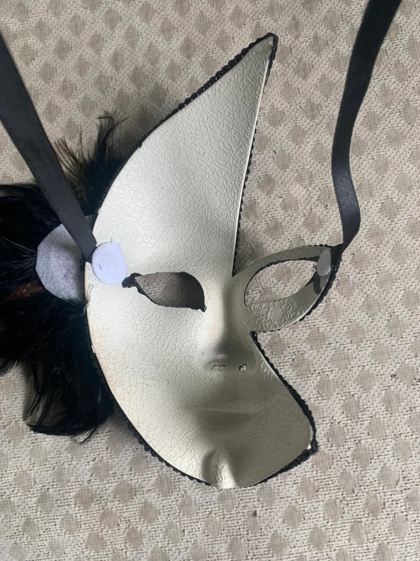 Mysterious masquerade mask from New Orleans brand new image indicator(3)