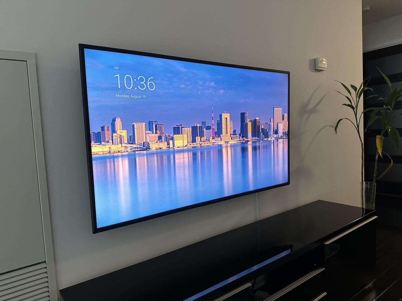 Sony Bravia X80J 55 inch 4K TV - photo 4