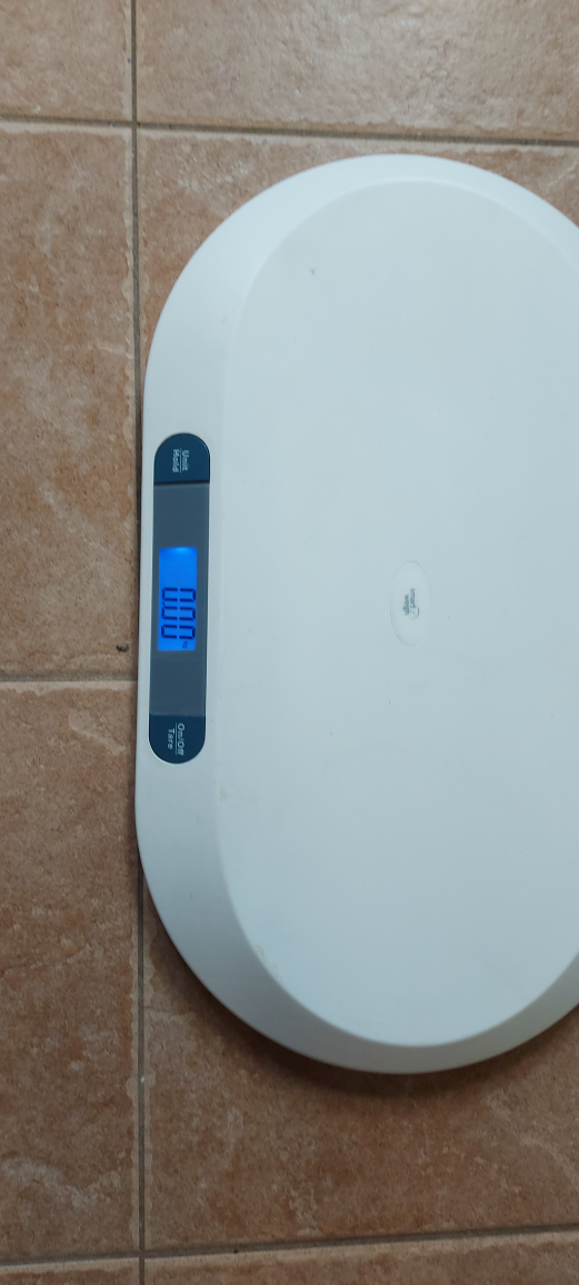 Digital Baby Scale - photo 2