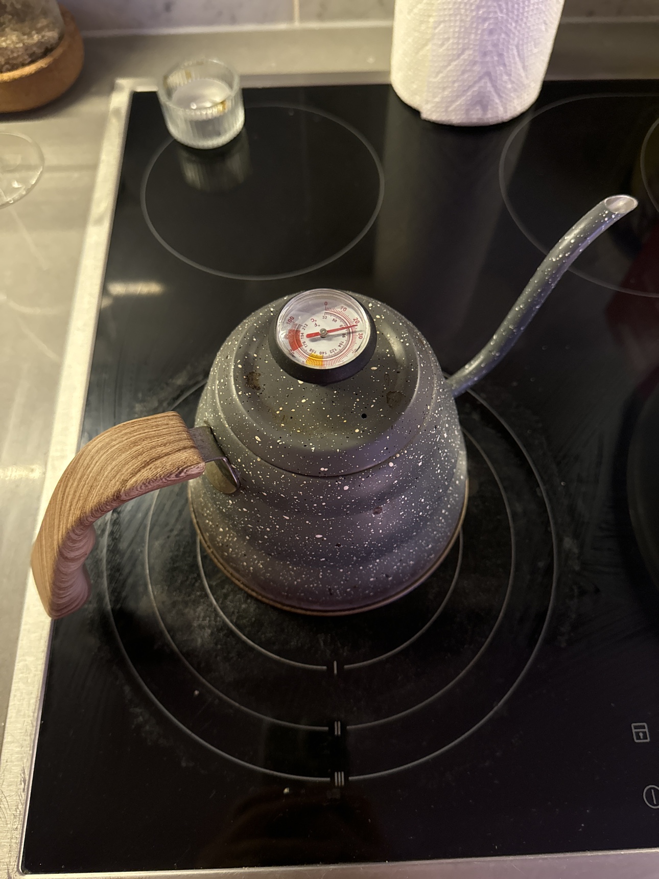 Poliviar Gooseneck Kettle with Thermometer 🧡