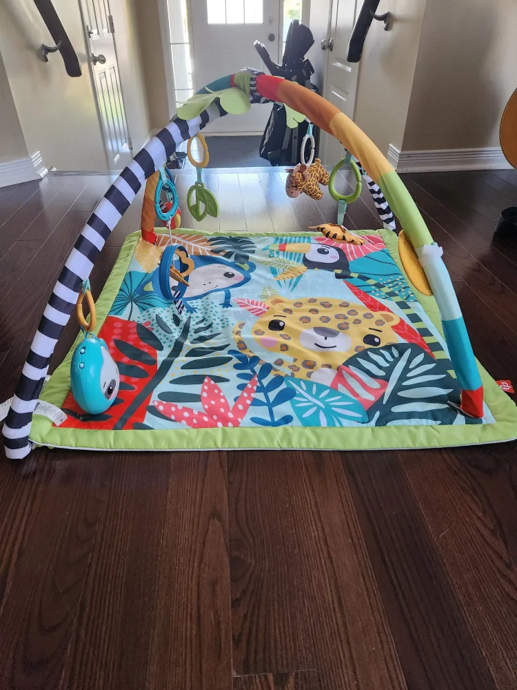 Baby Play Mat with Arch thumbnail