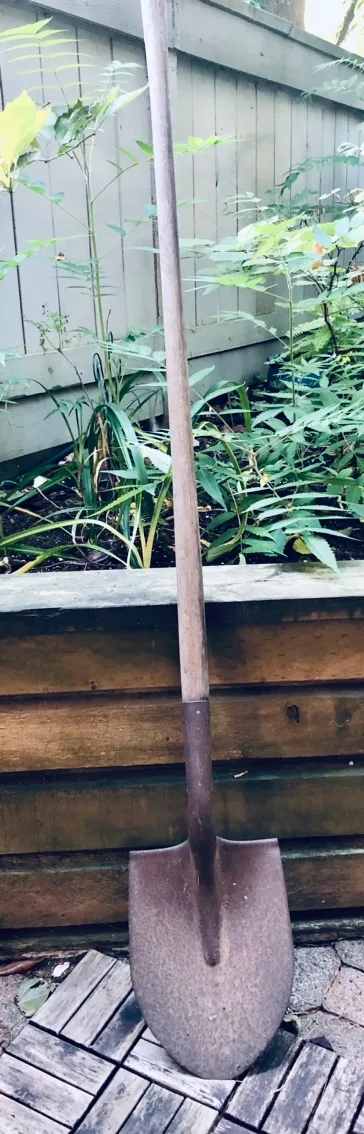 Garden Shovel 🧡 image indicator(3)