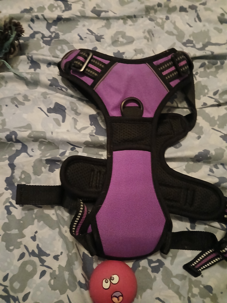 New Dog Harnesses sizes Medium , Large and X Large