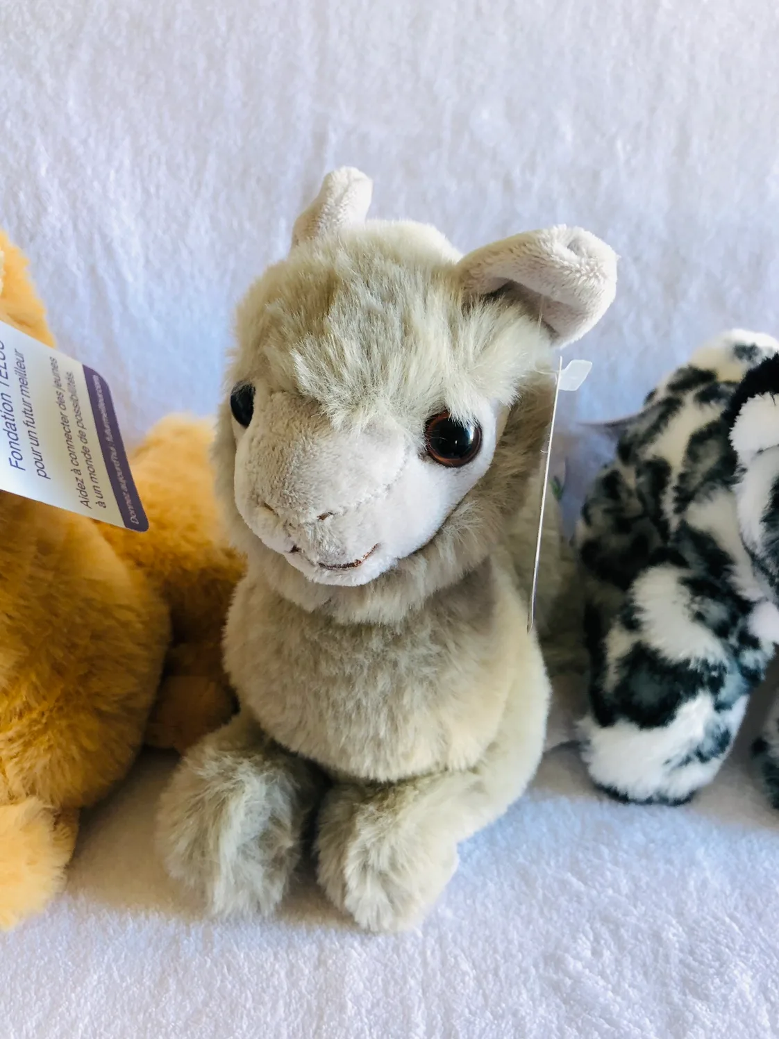 Telus Miniature Plush Toys 🧸 image indicator(3)