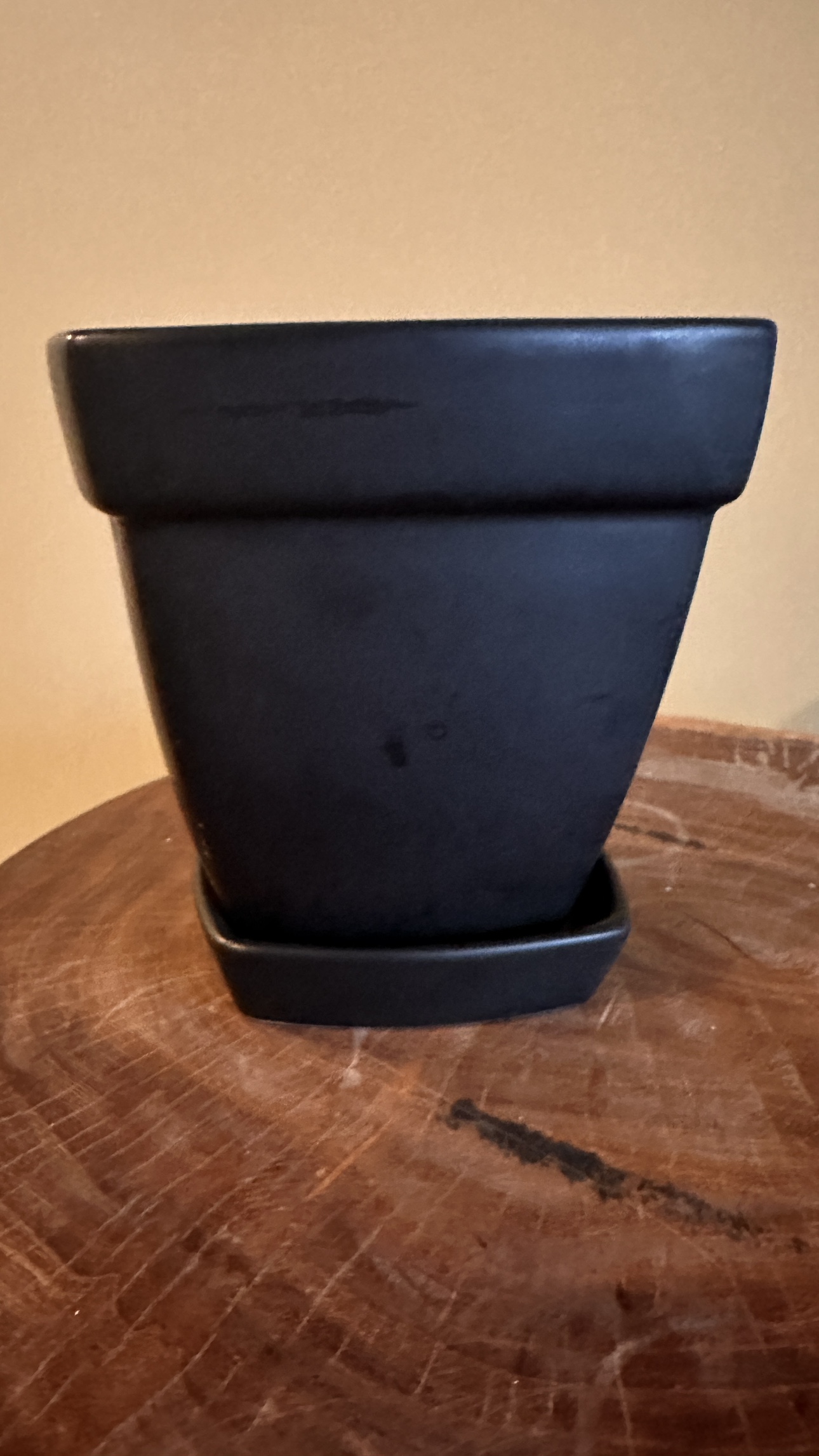 Black Square Planter with Saucer