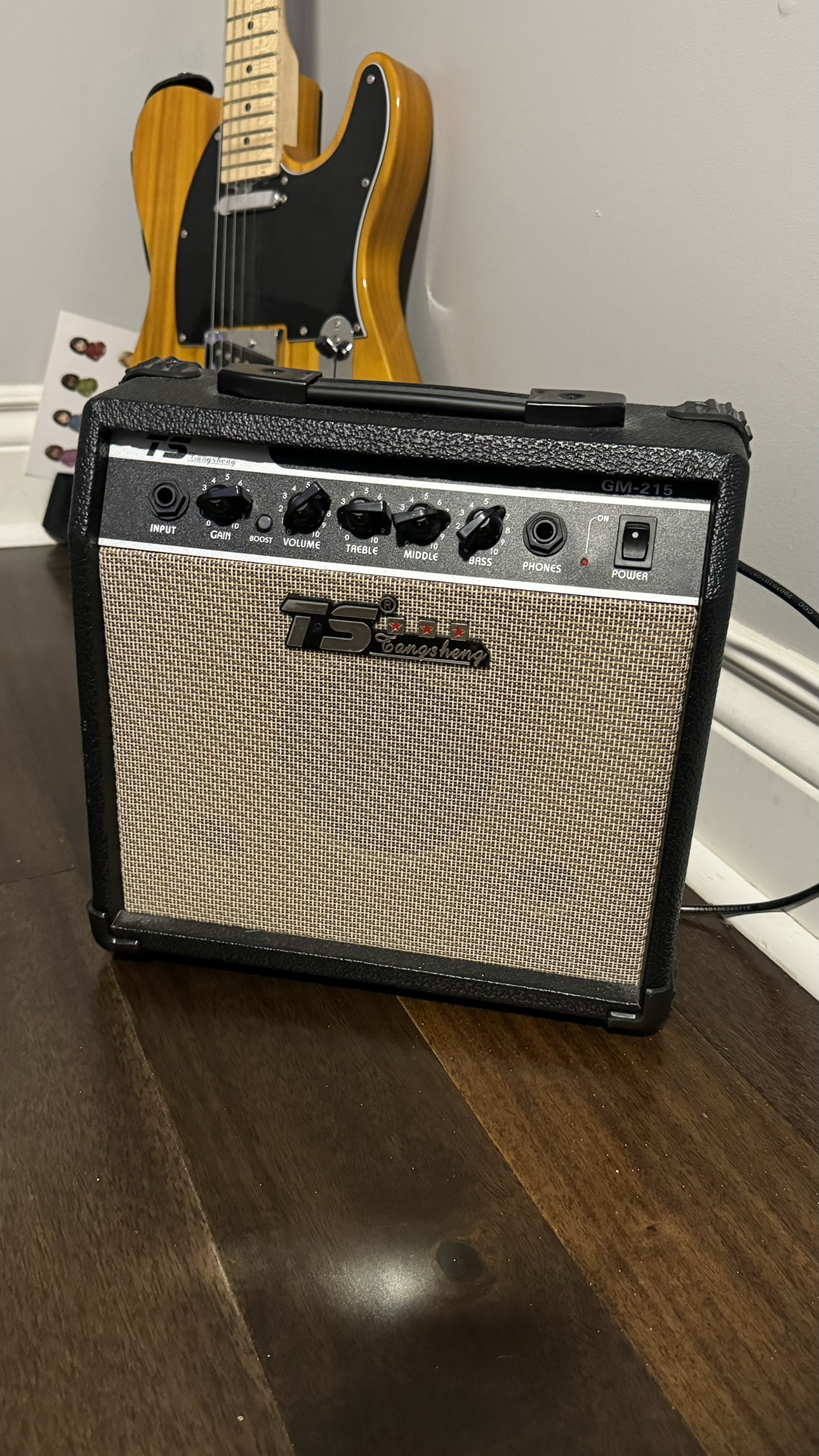 Electric Guitar and Amp - photo 2