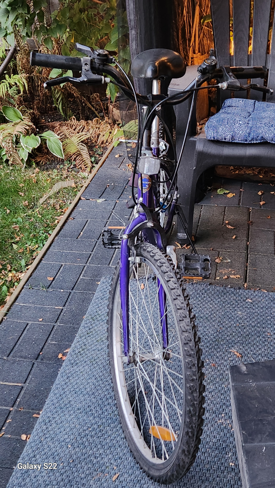 Bike 21" Youth - photo 2