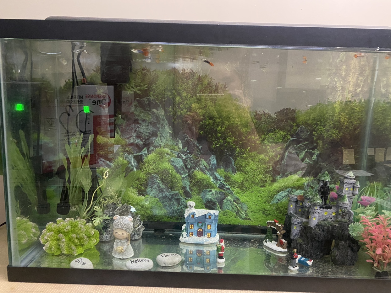 Fish tank Aquarium set