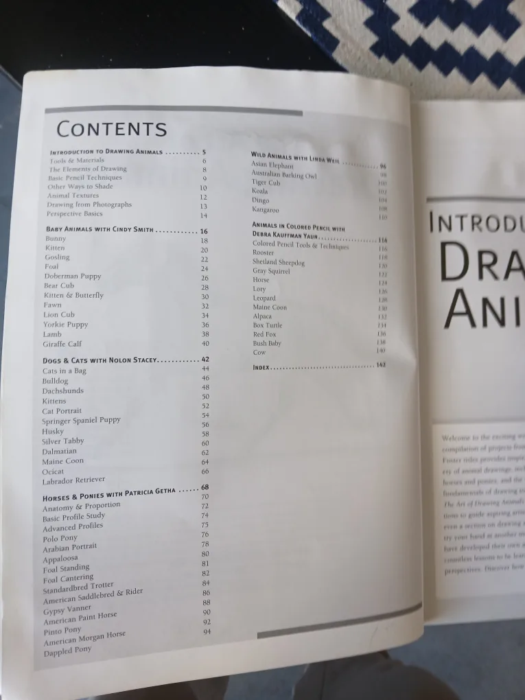 The Art of Drawing Animals image indicator(2)