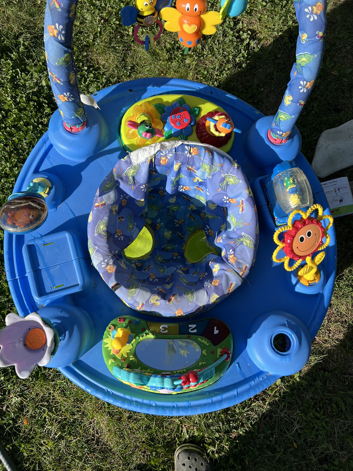 Baby Exersaucer Activity Centre - photo 2
