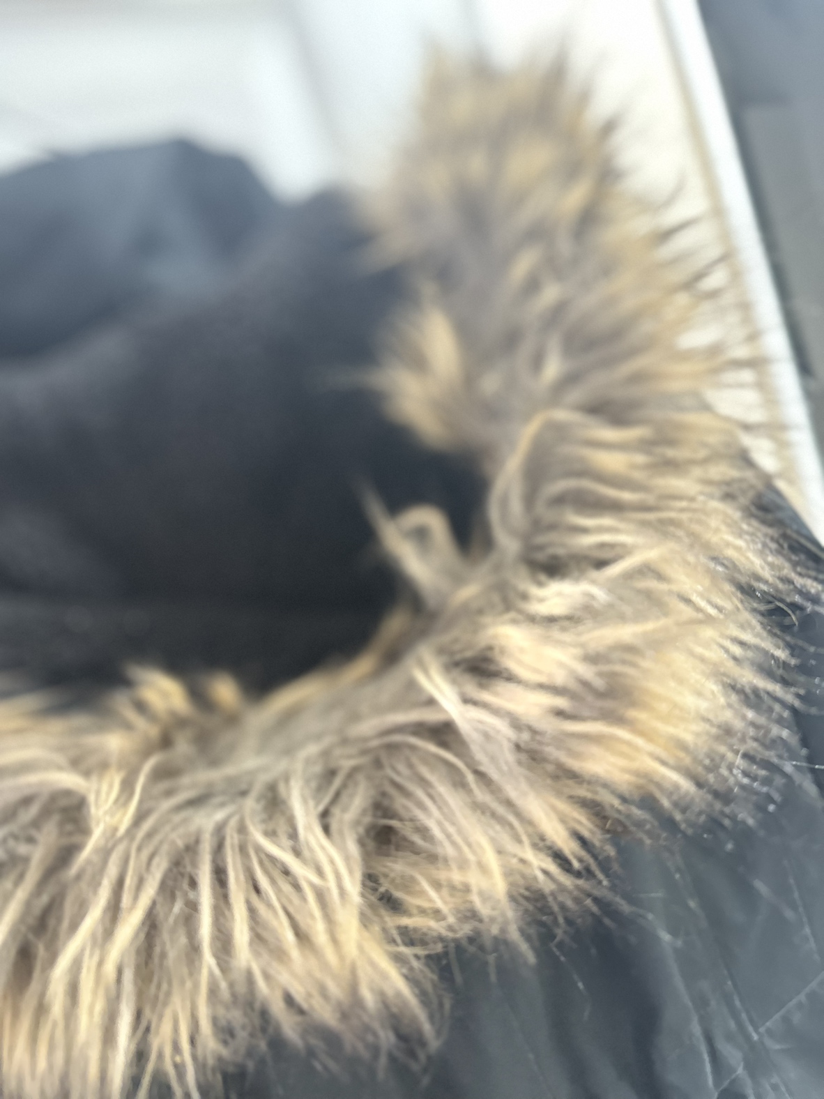 Winter Canadiana Jacket Parka - photo 4